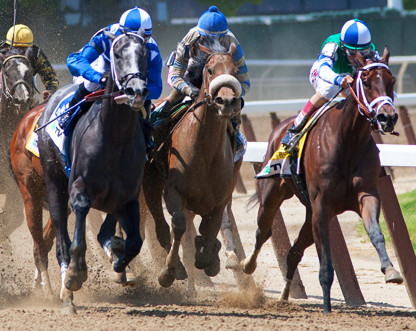 Sweet Reason wins the Acorn
