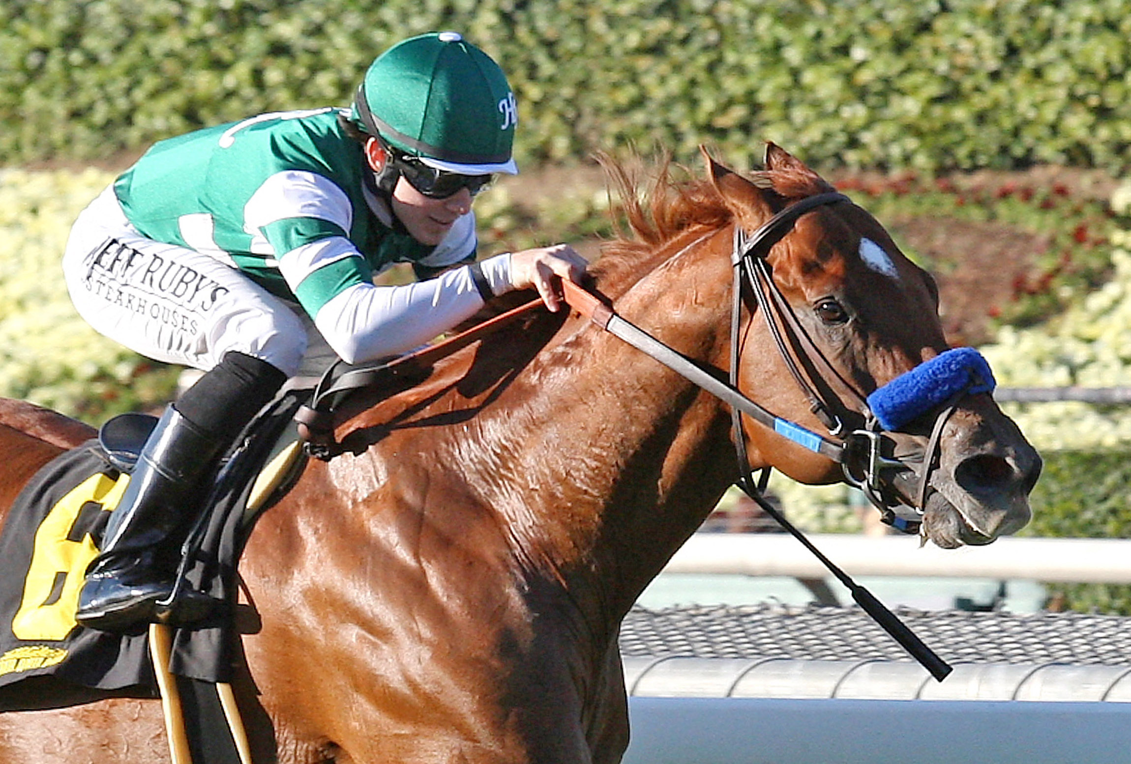 Street Swap wins the Joe Hernandez Stakes