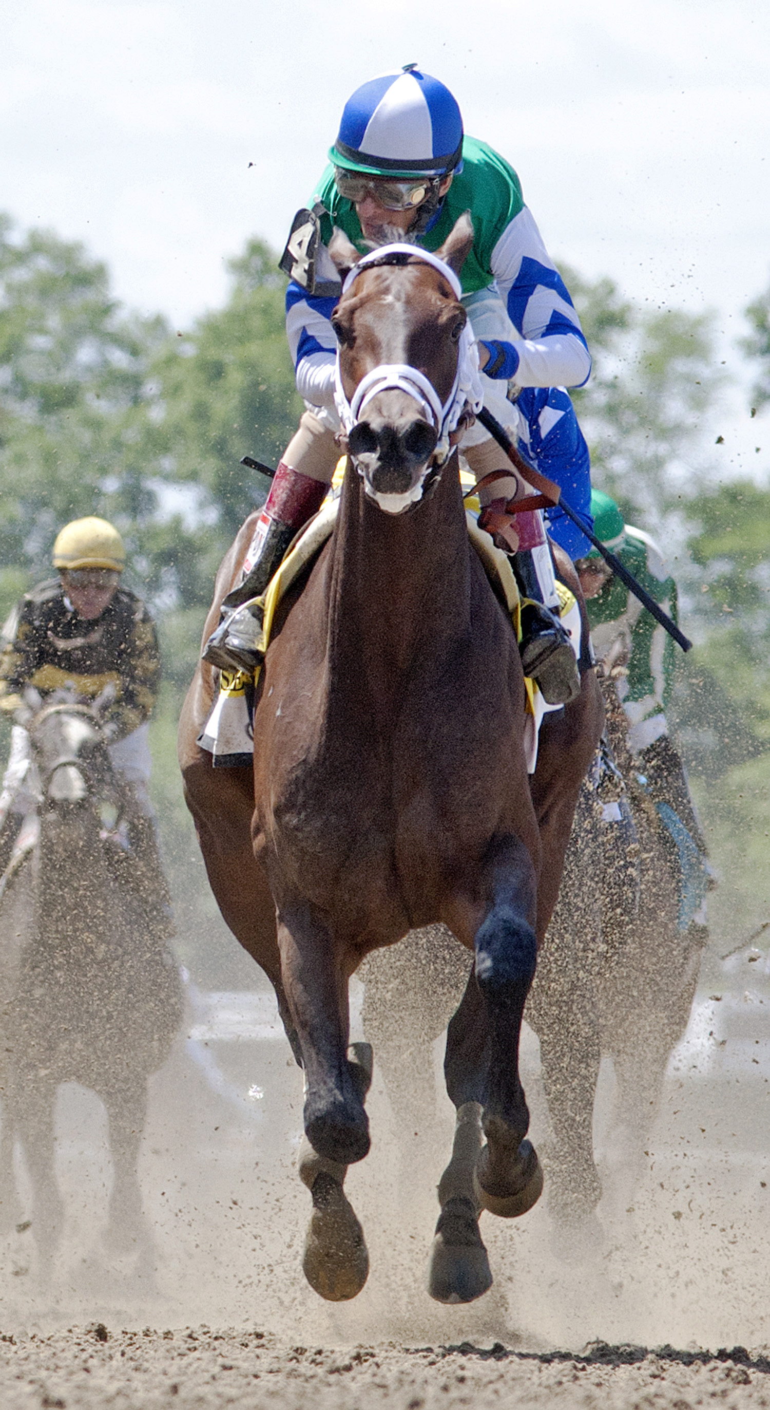 Sweet Whiskey finishes second in the Acorn