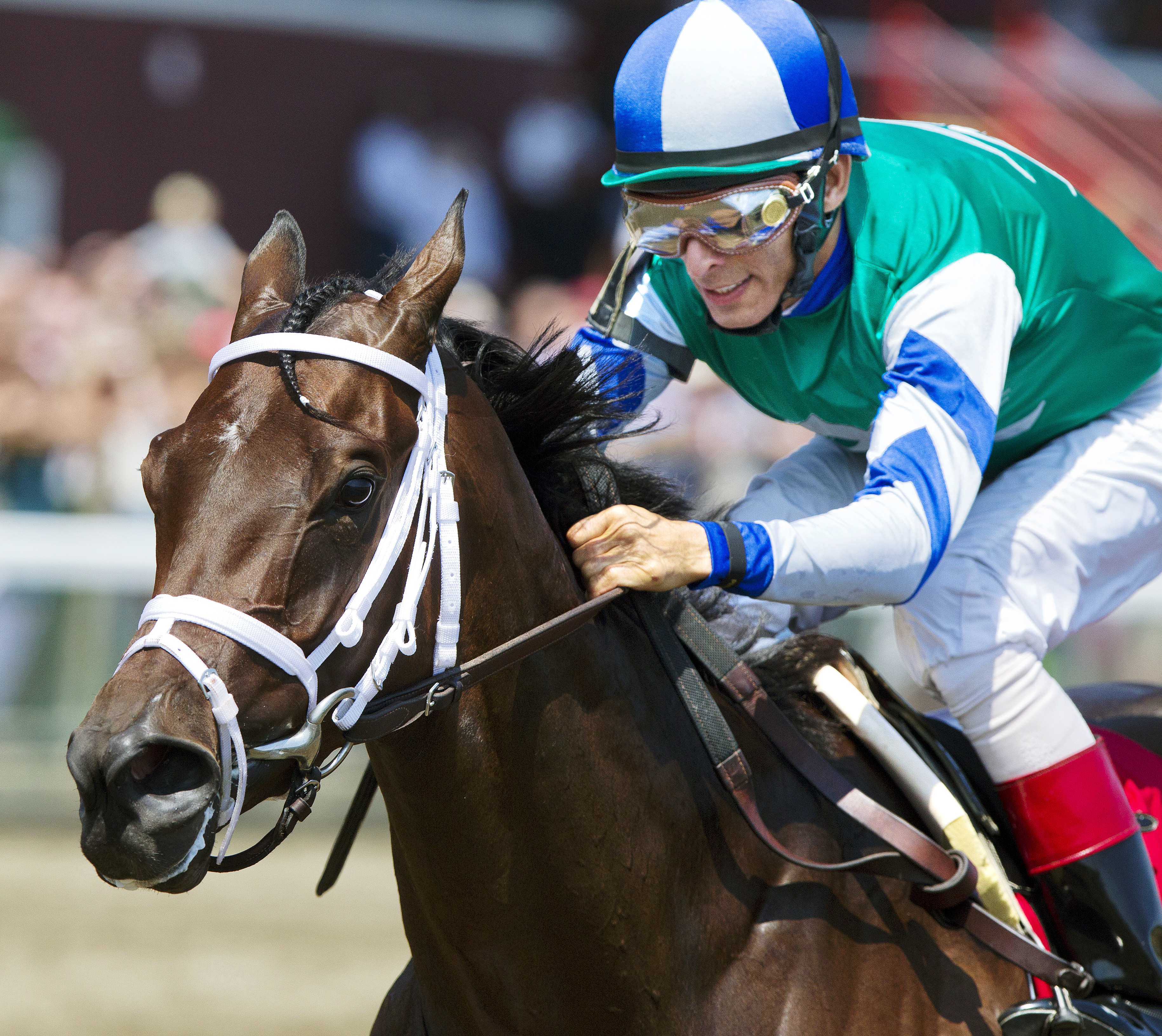 Sweet Whiskey wins an allowance race