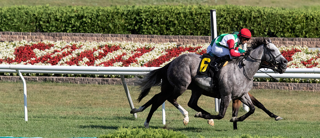 Sweet Bye and Bye wins an Aug. 26 allowance at Saratoga