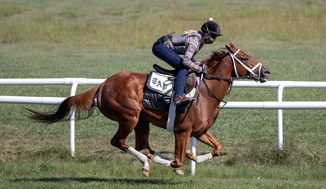 Sweet Melania trains at Saratoga Race Course on Aug. 21