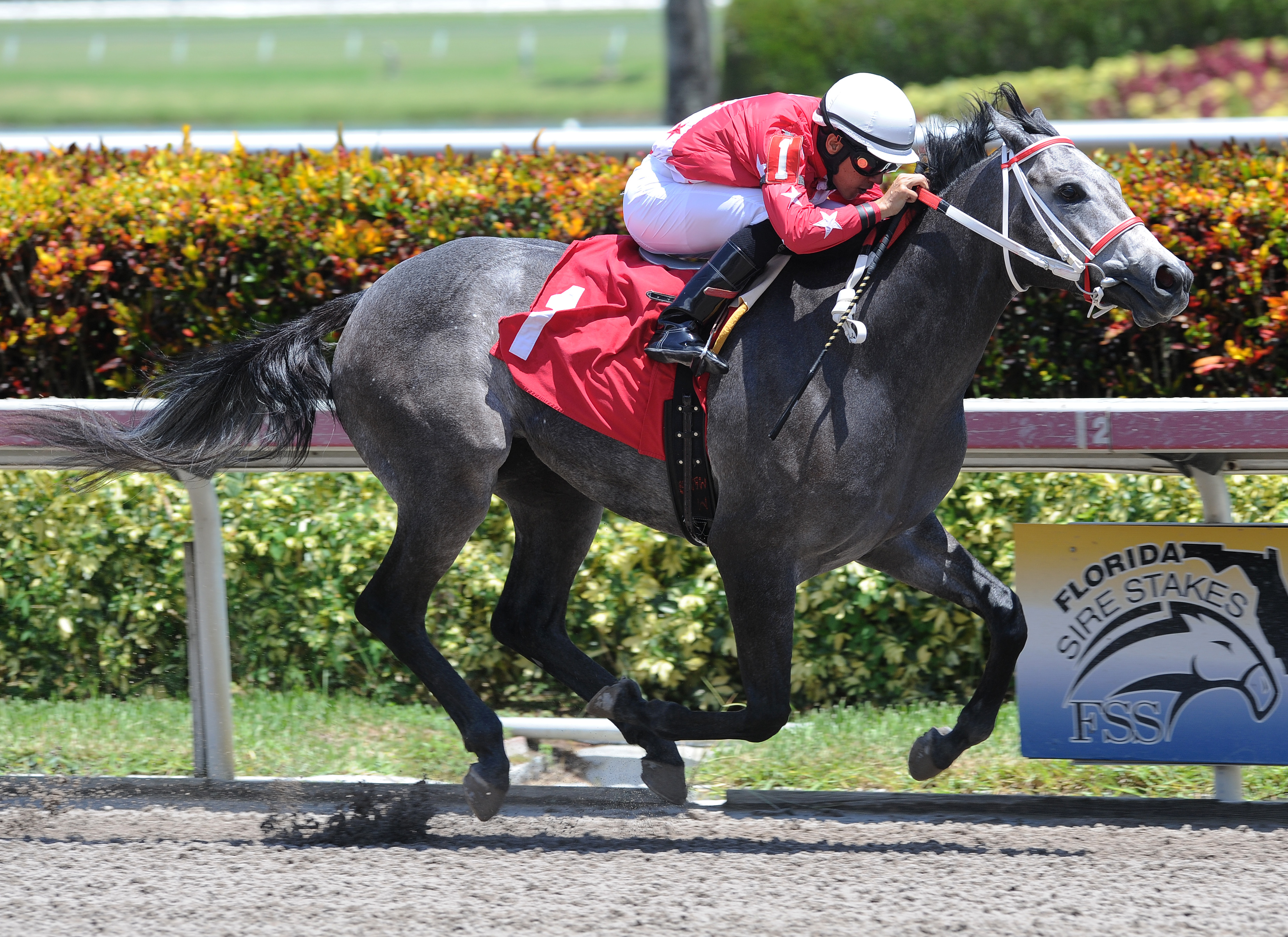 Sweetontheladies wins an Aug. 19 allowance