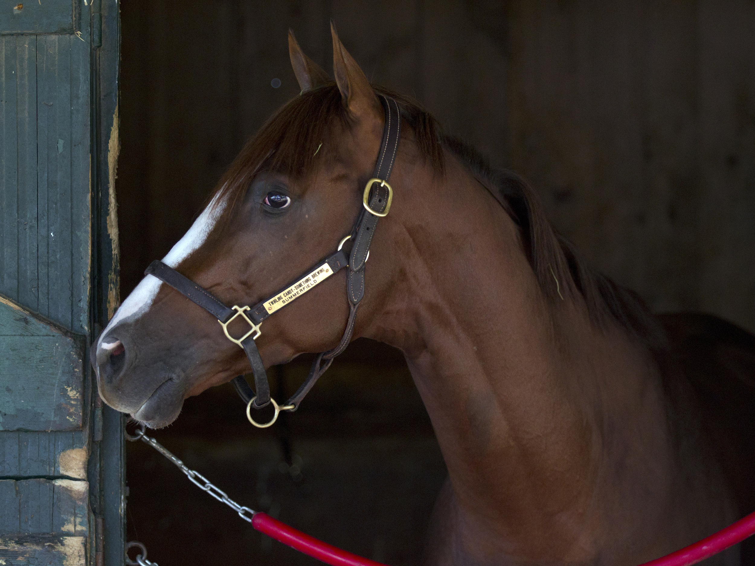 Sweetwater