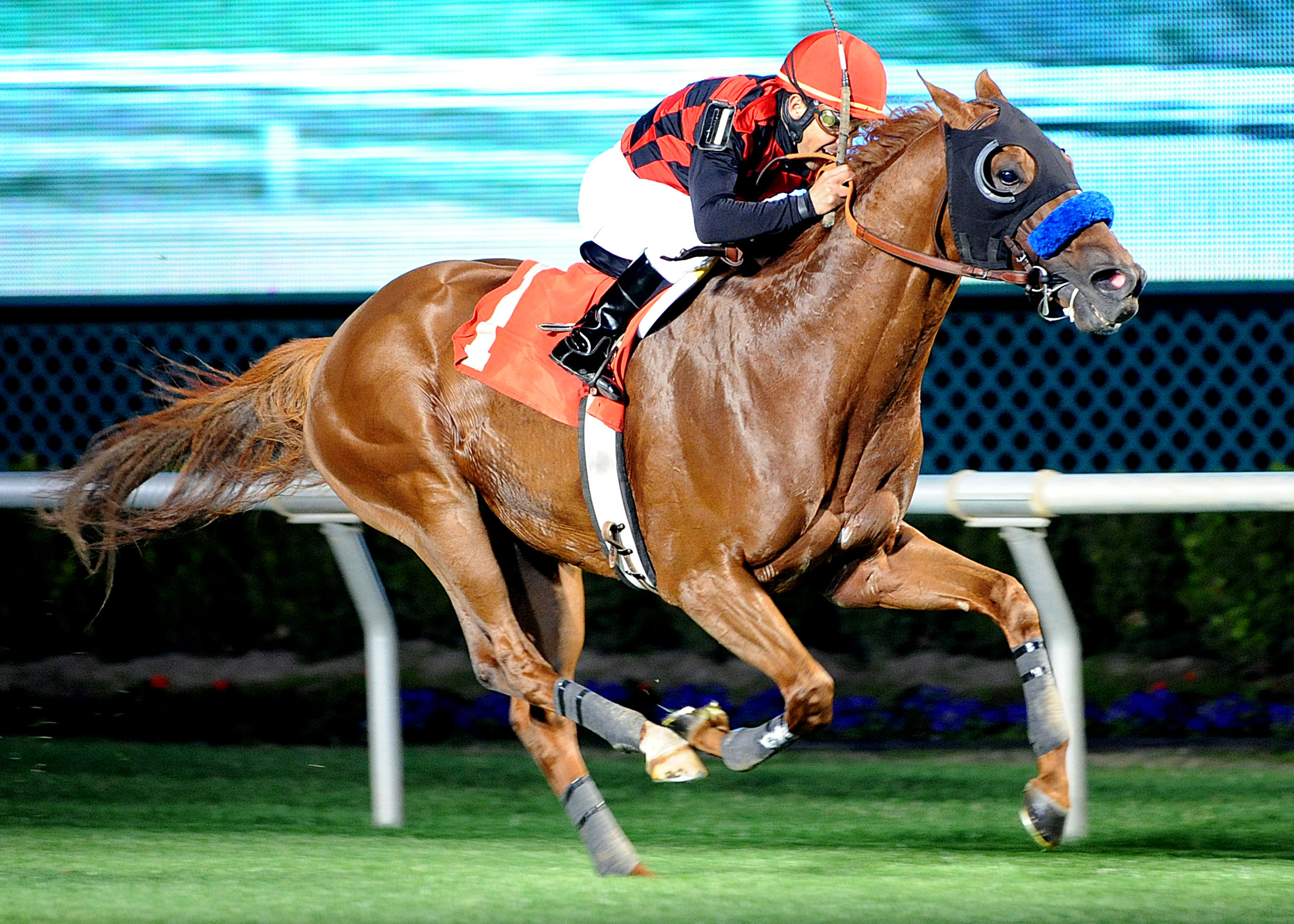 Swift Warrior 1-26-2013