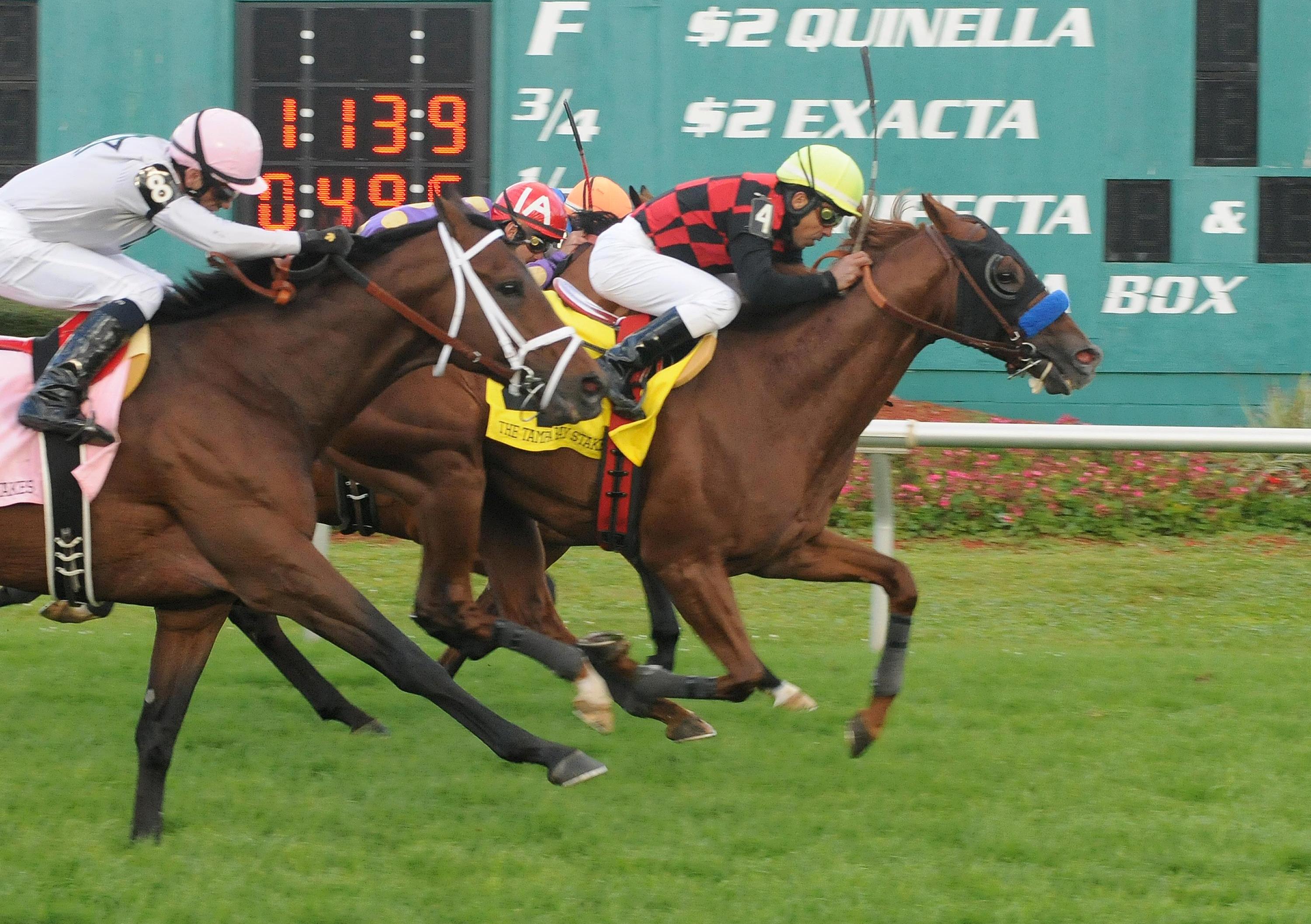 Swift Warrior, Tampa Bay Stakes