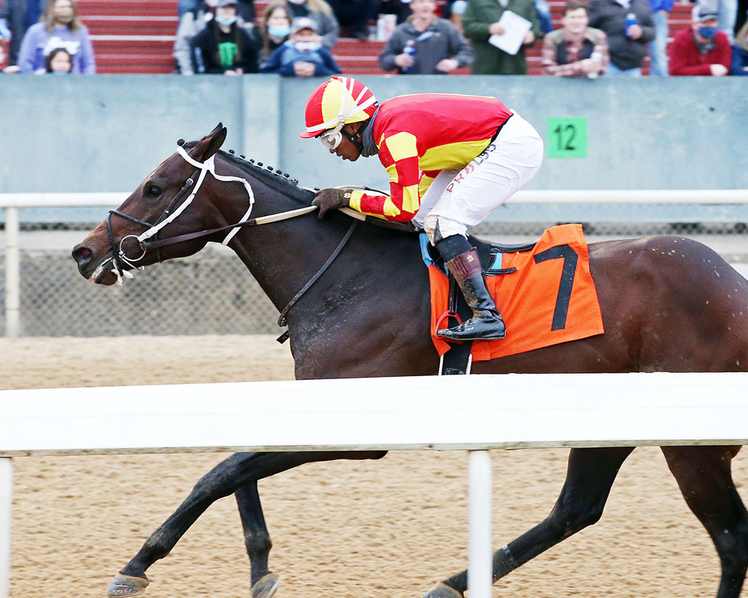 Swiftsure wins a Jan. 23 allowance at Oaklawn Park