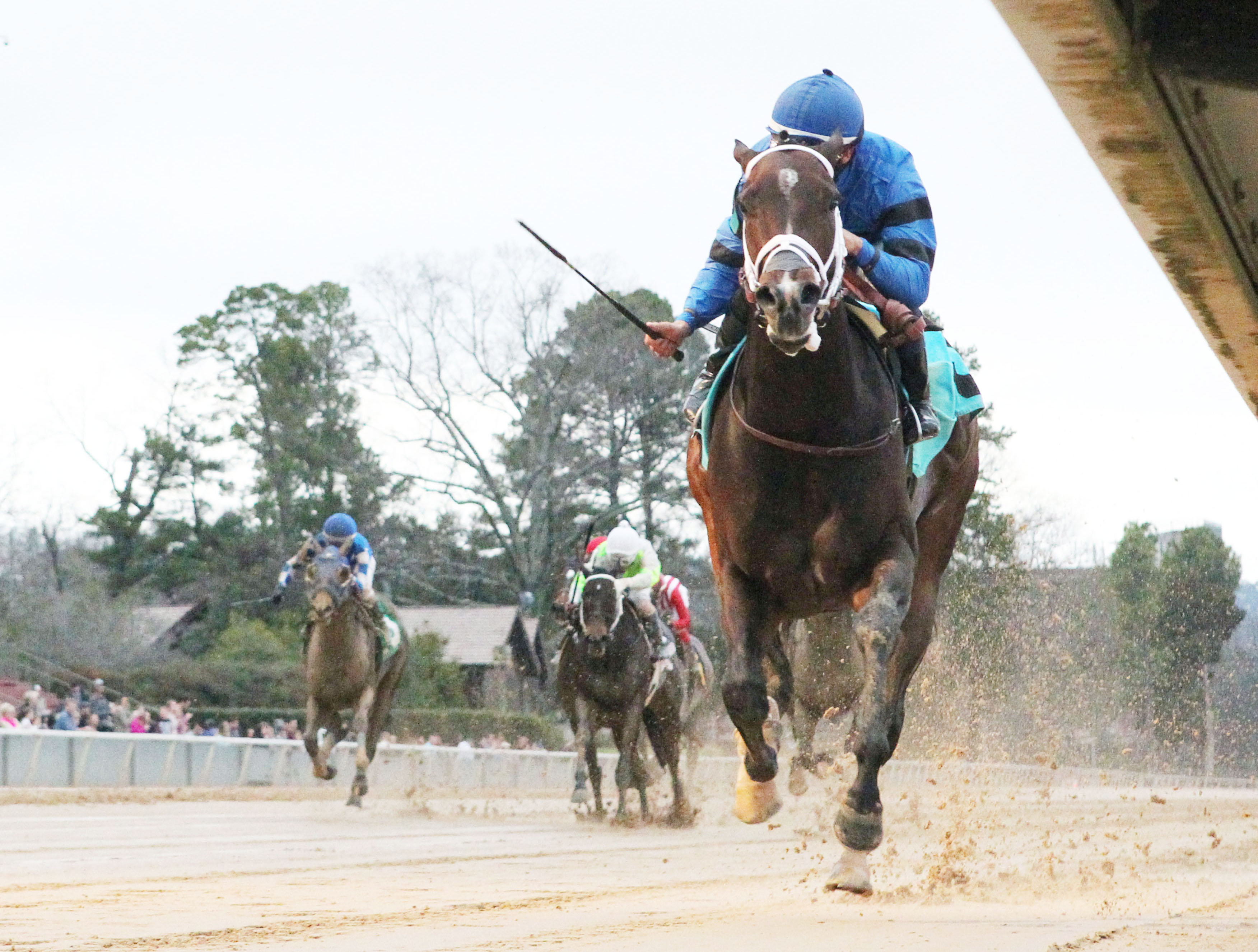 Swing and Sway wins the 2018 American Beauty Stakes