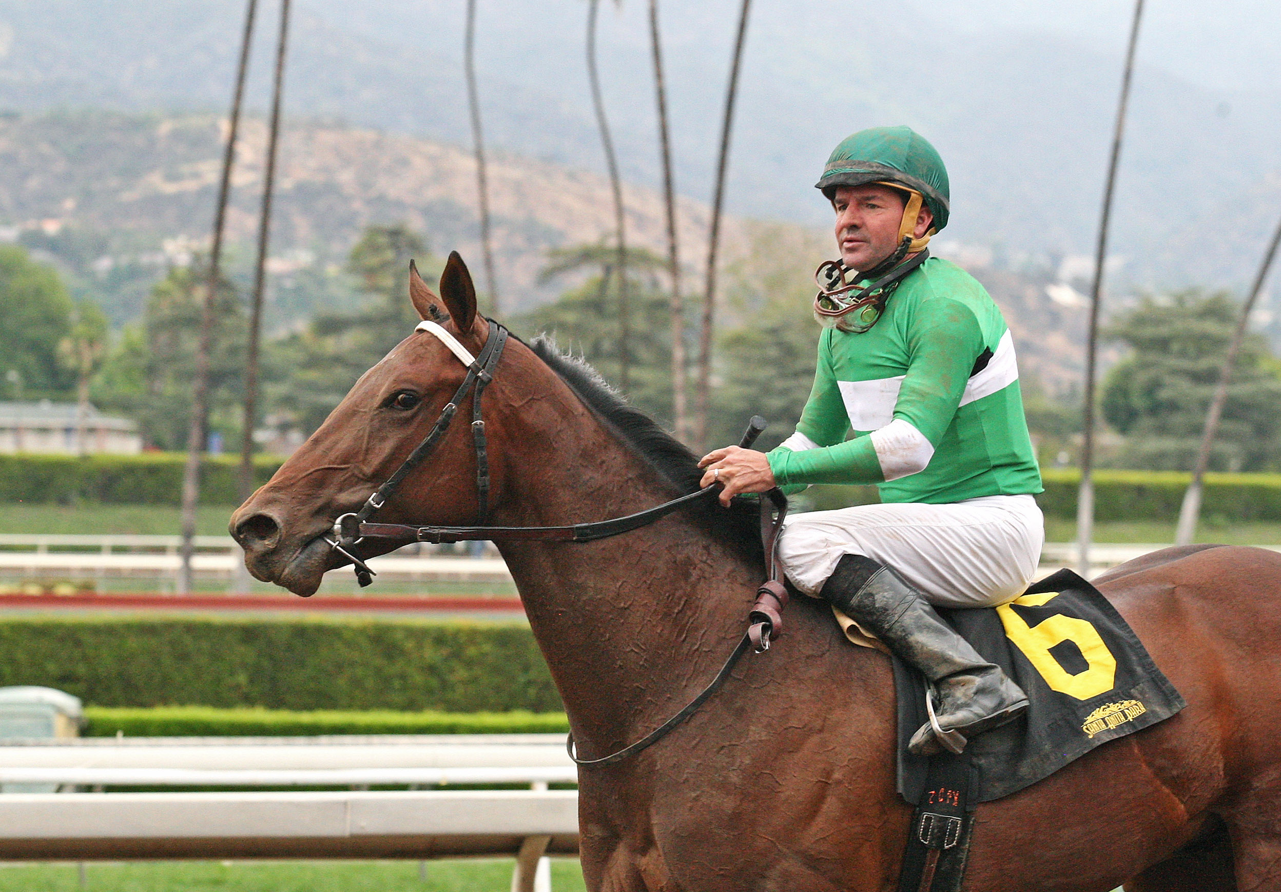 Swipe finishes second in a maiden race