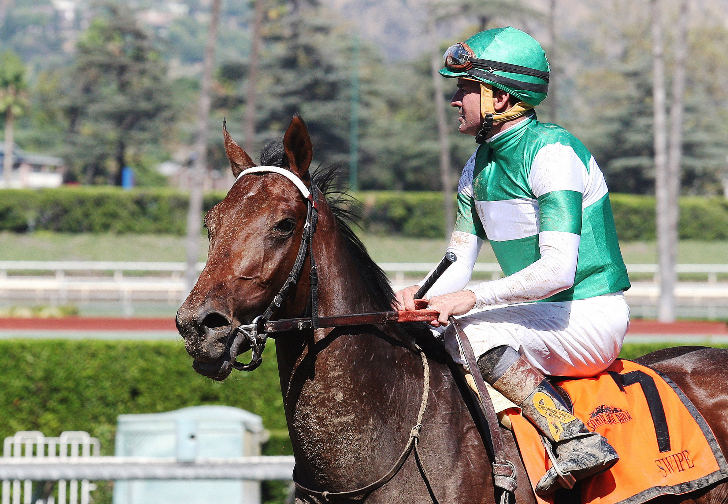 Swipe at the FrontRunner Stakes