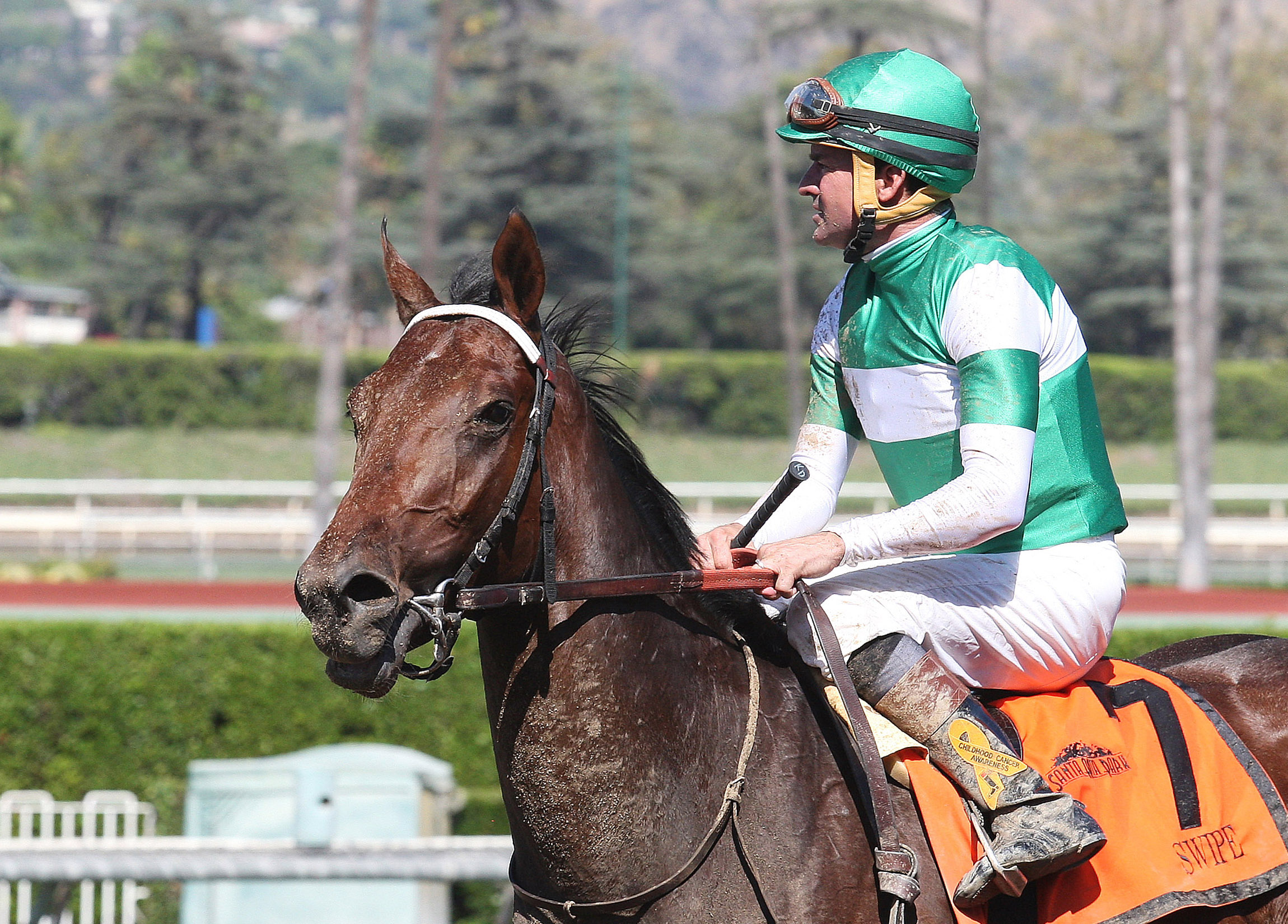 Swipe at the FrontRunner Stakes