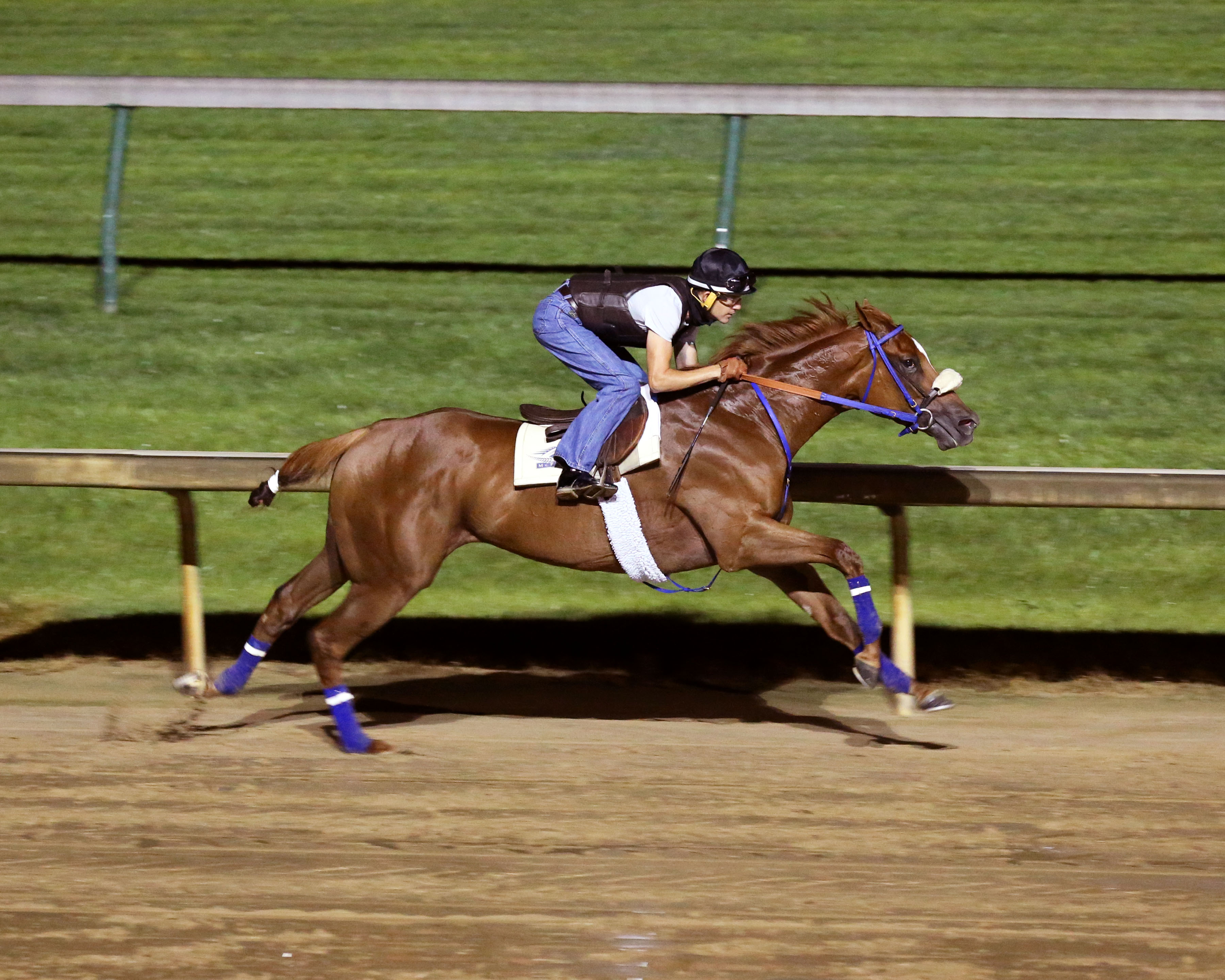 Swiss Skydiver trains at Churchill Downs