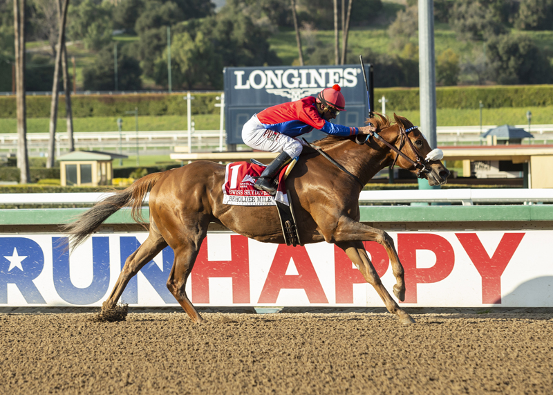 Swiss Skydiver wins Beholder 3-13-2021