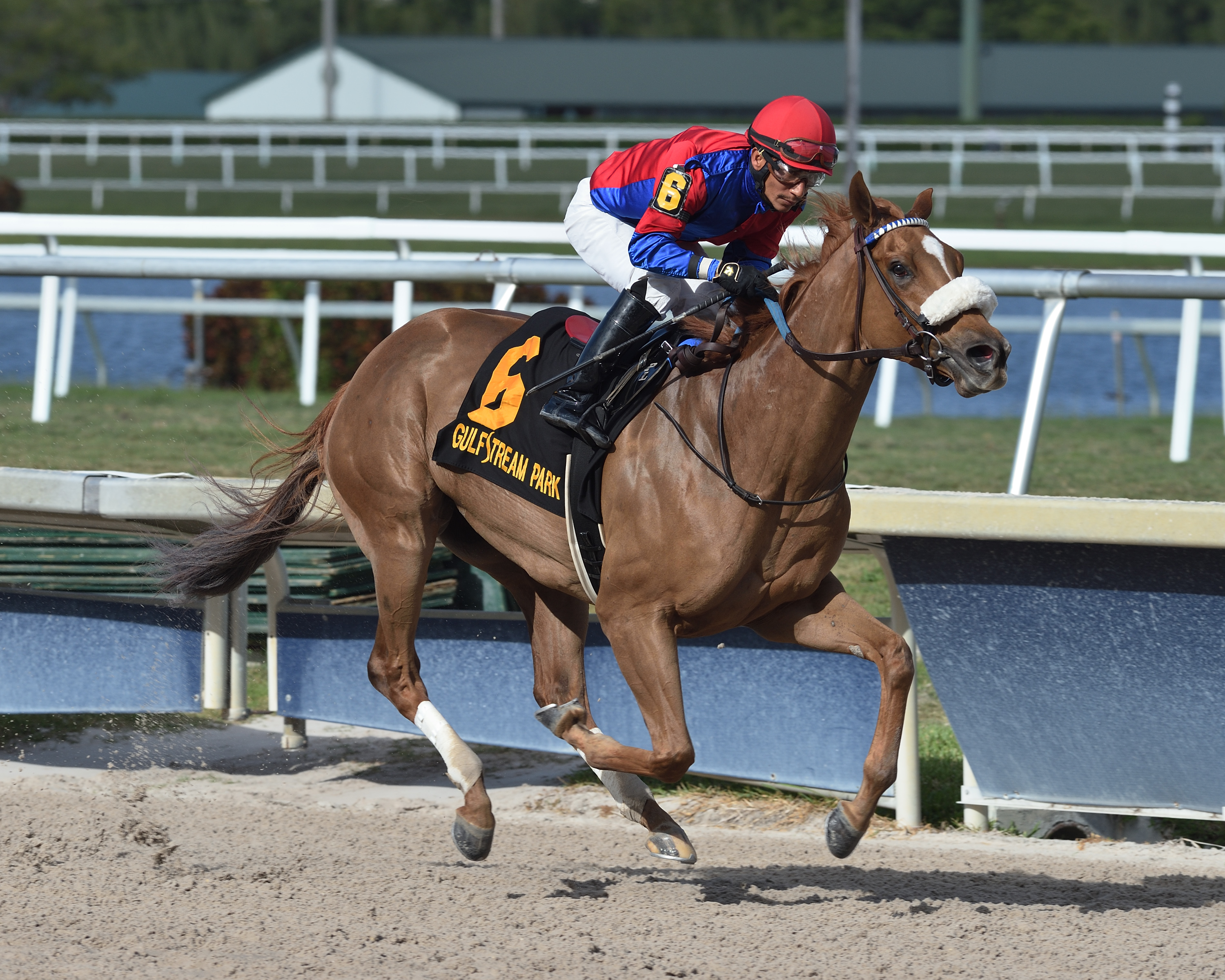 Swiss Skydiver/Gulfstream Park Oaks