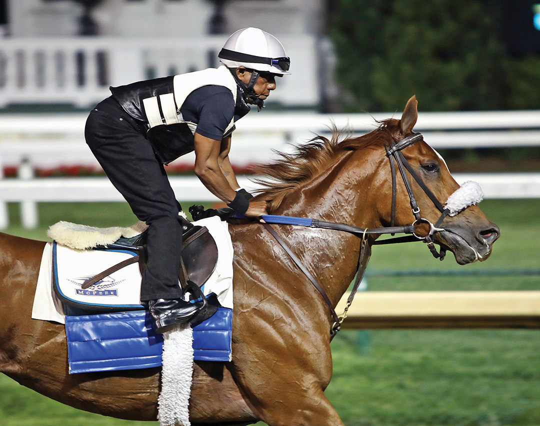 Swiss Skydiver trains at Churchill Downs on April 28