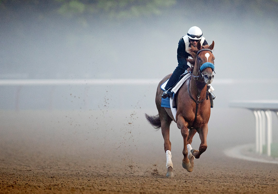 Swiss Skydiver trains at Saratoga Race Course on July 15