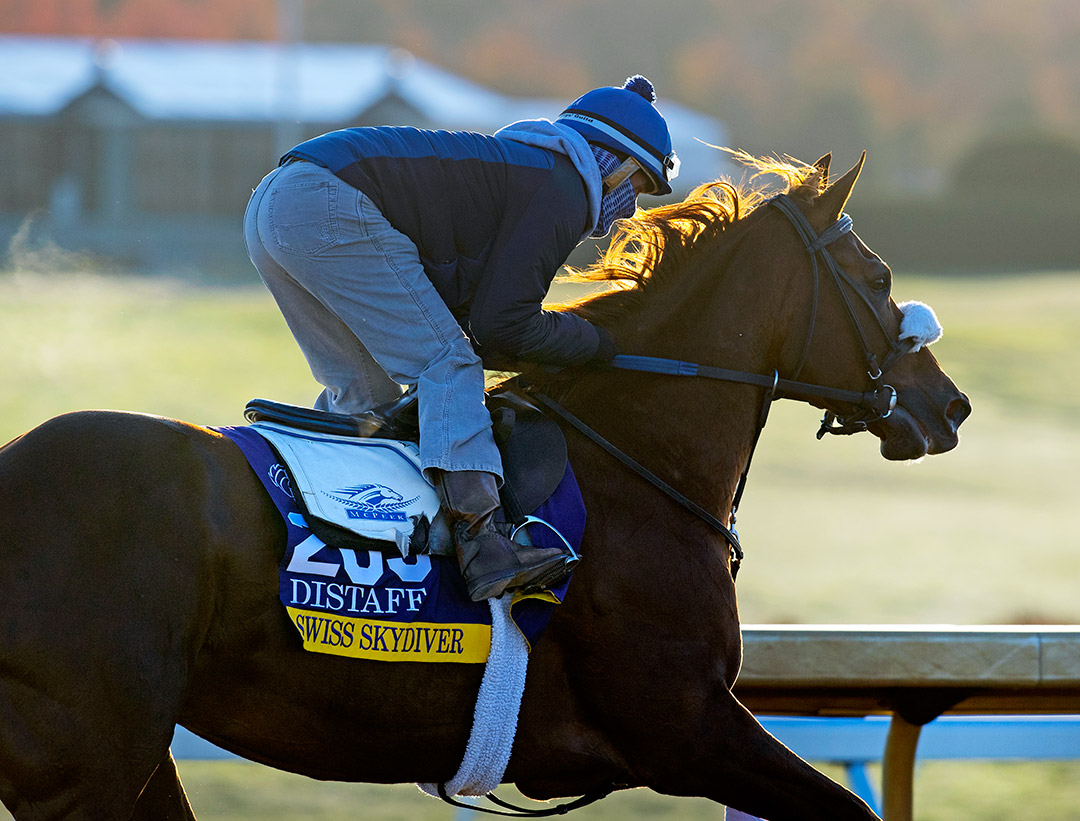 Swiss Skydiver trains at Keeneland on Nov. 2