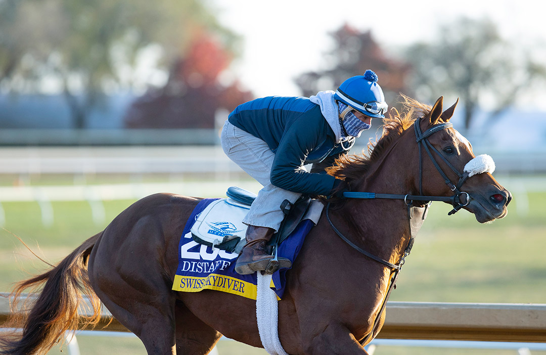 Swiss Skydiver trains at Keeneland on Nov. 2