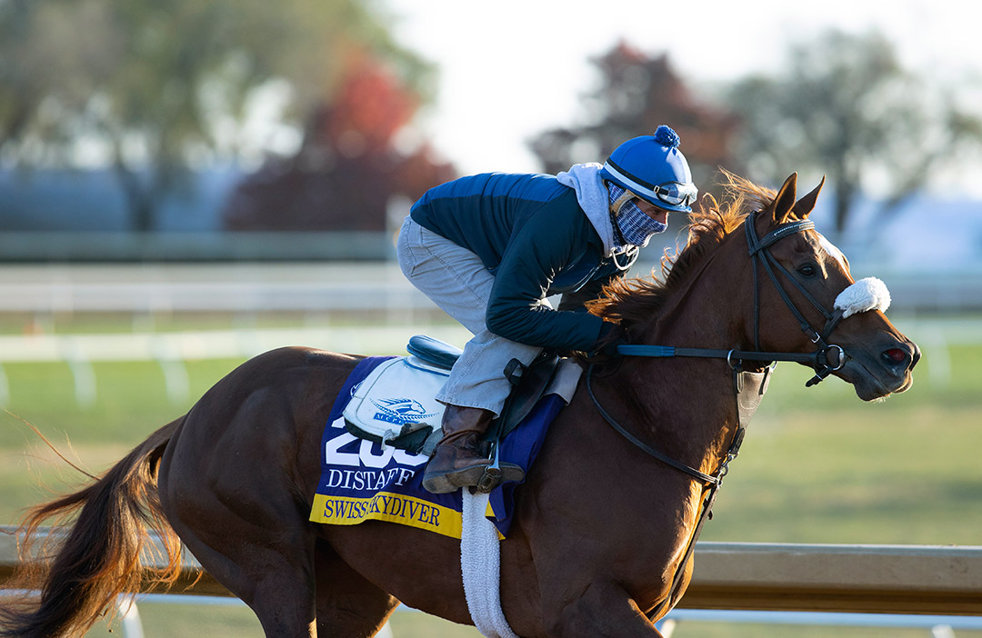 Swiss Skydiver trains at Keeneland on Nov. 2