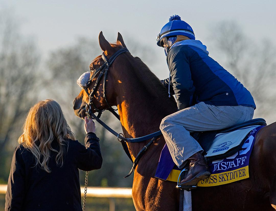 Swiss Skydiver at Keeneland Racecourse before the Breeders' Cup