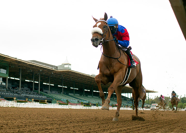 Swiss Skydiver wins the 2020 Santa Anita Oaks at Santa Anita Park