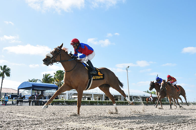 Swiss Skydiver wins the 2020 Gulfstream Oaks