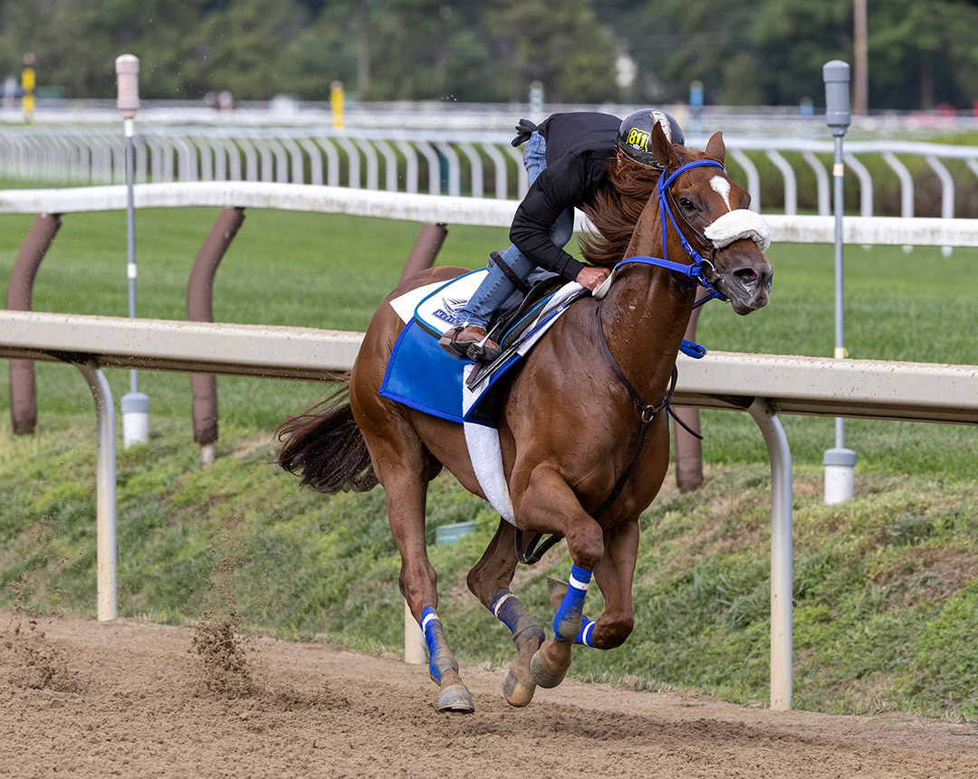 Swiss Skydiver works at Saratoga Race Course on Aug. 1