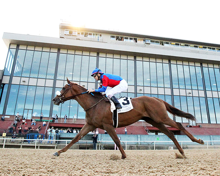 Swiss Skydiver wins the 2020 Fantasy Stakes at Oaklawn Park