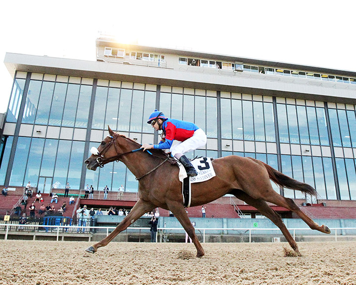 Swiss Skydiver wins the 2020 Fantasy Stakes at Oaklawn Park