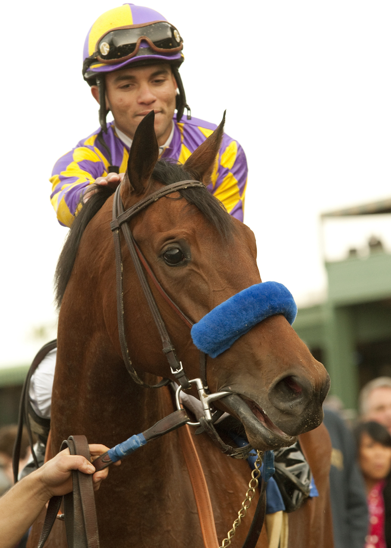 Joel Rosario