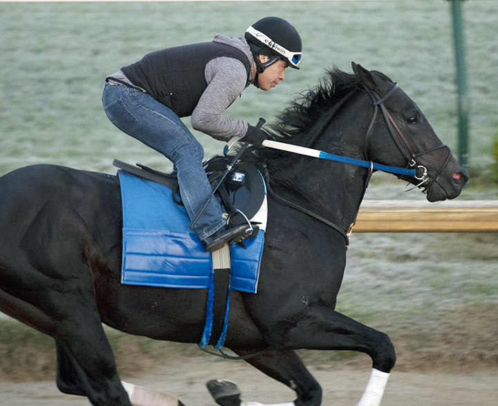 Switzerland trains at Churchill on Oct. 22