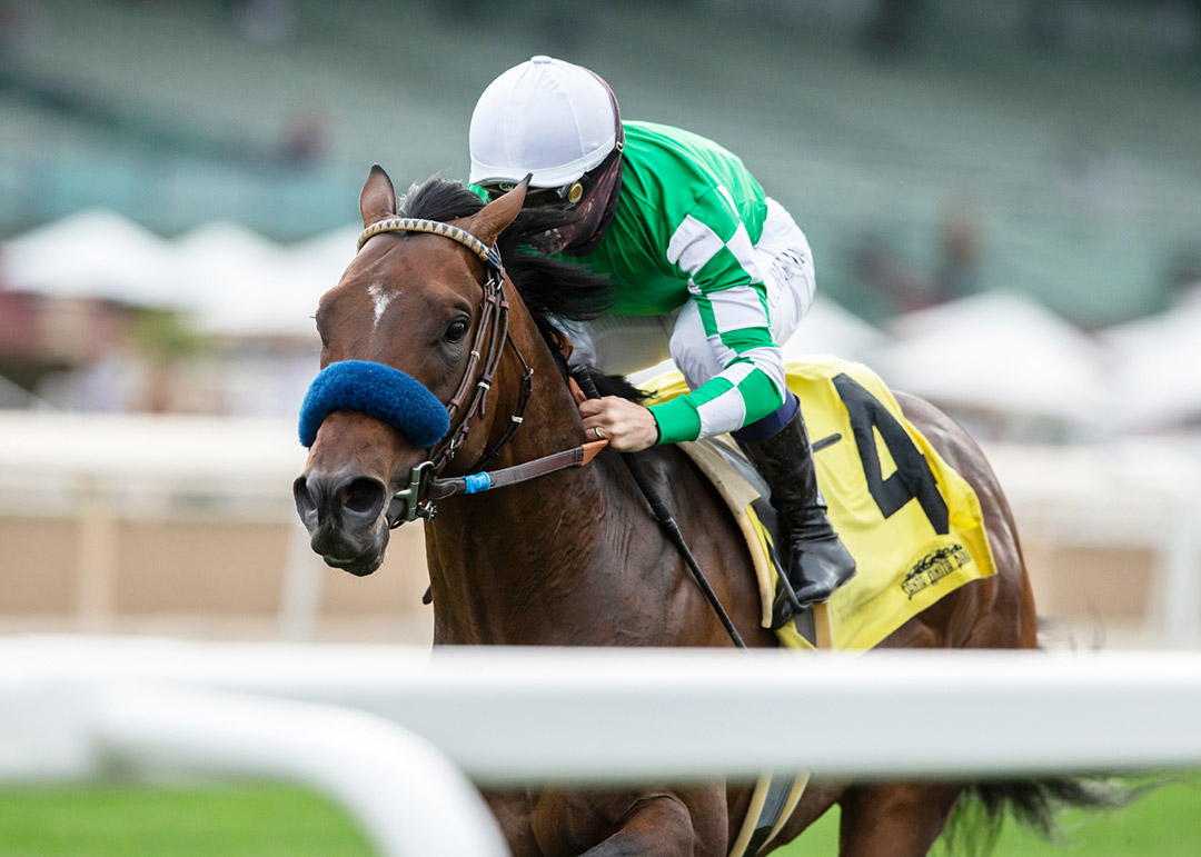 Sword Zorro wins the 2021 Singletary Stakes at Santa Anita