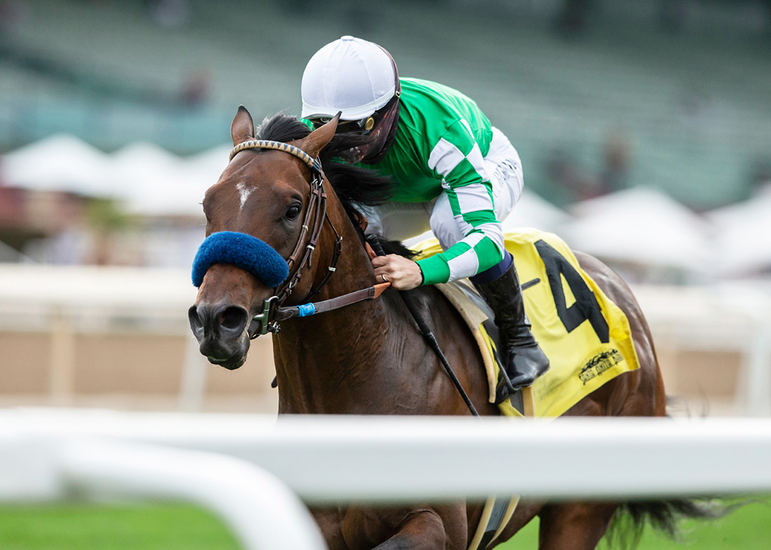 Sword Zorro wins the 2021 Singletary Stakes at Santa Anita Park