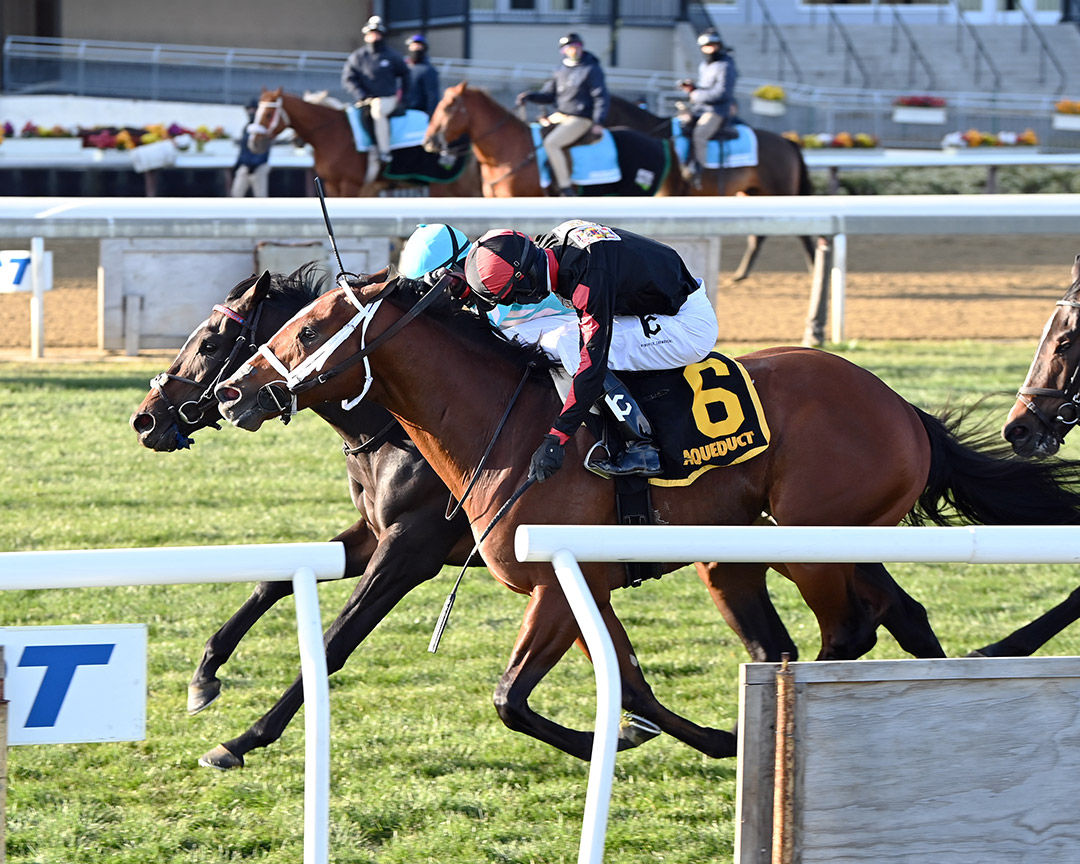 Ohtwoohthreefive (6) finishes second in the 2021 Central Park Stakes at Aqueduct