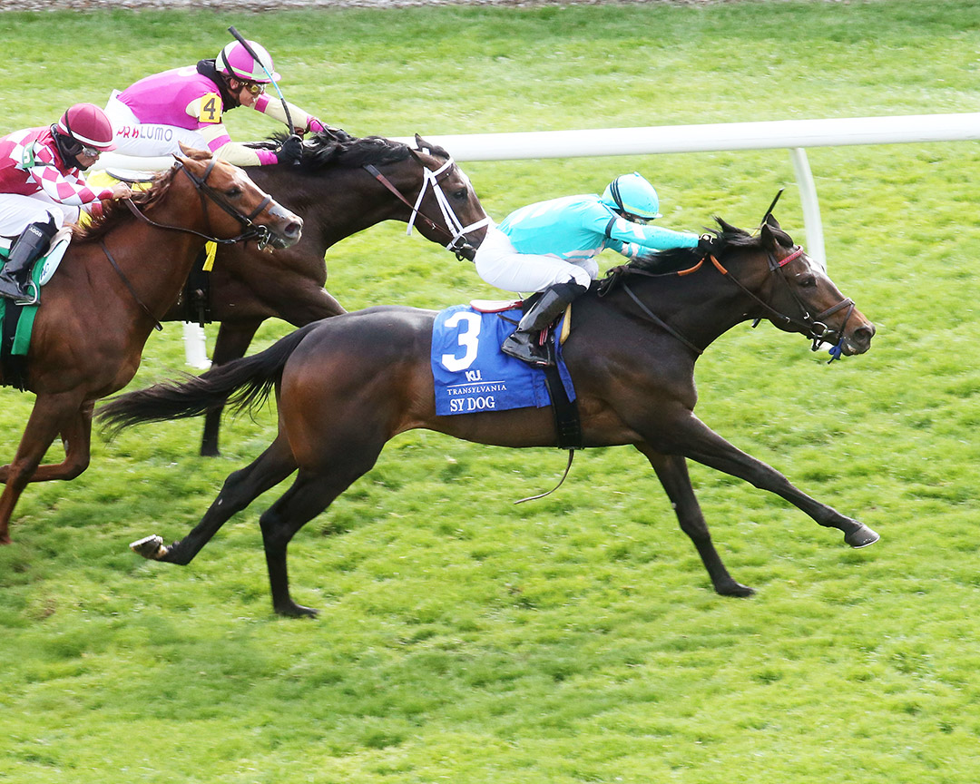 Sy Dog wins the 2022 Transylvania Stakes at Keeneland