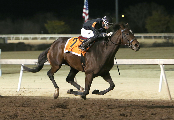 Sydney Freeman wins the Useeit Stakes