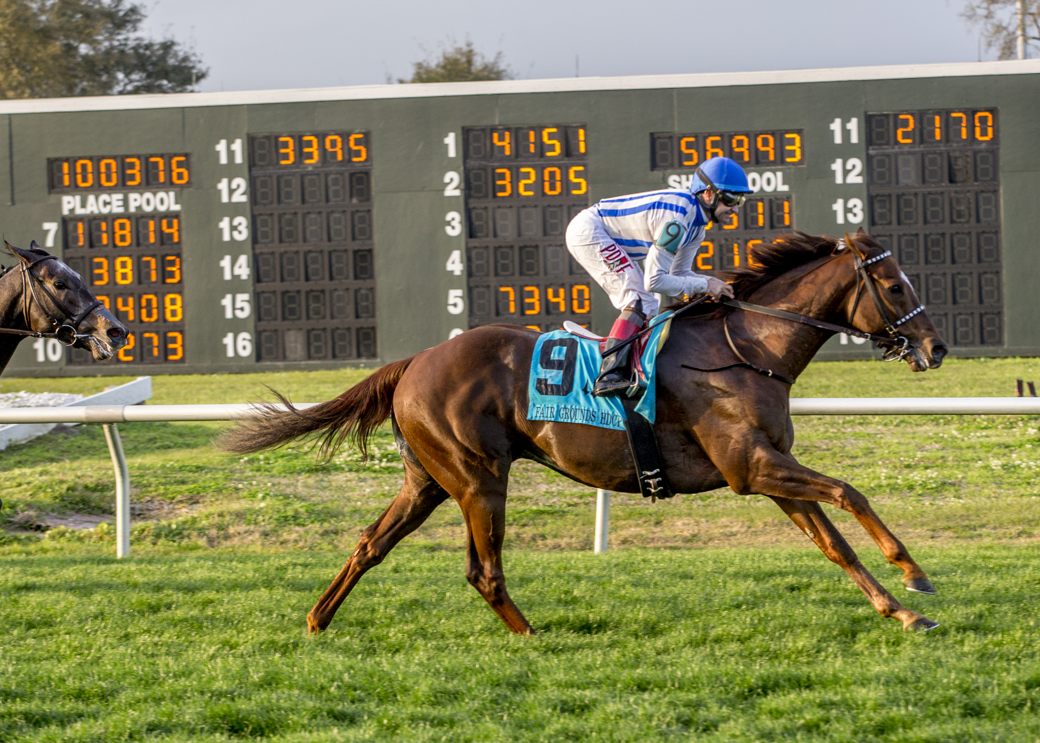 Synchrony wins 2019 Fair Grounds Handicap
