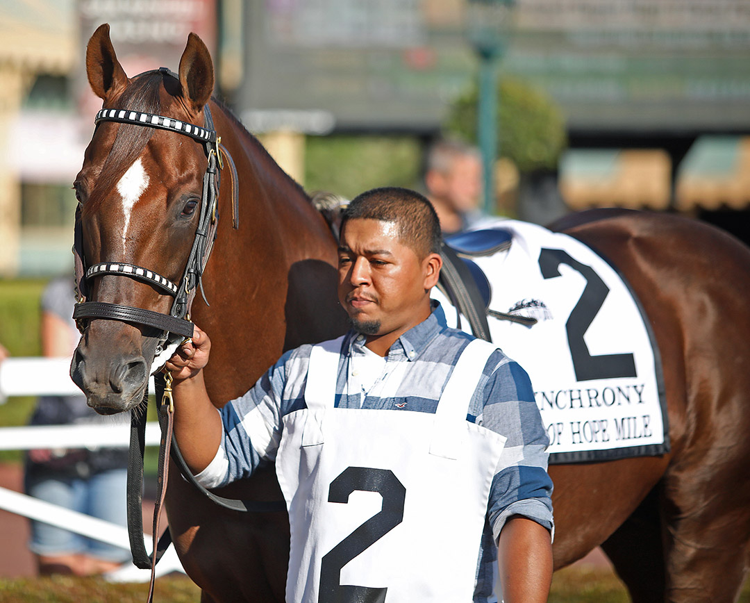 Synchrony at Santa Anita Park in October 2019