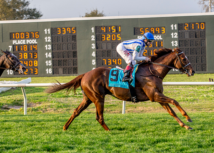 Synchrony wins the 2019 Fair Grounds Handicap at Fair Grounds