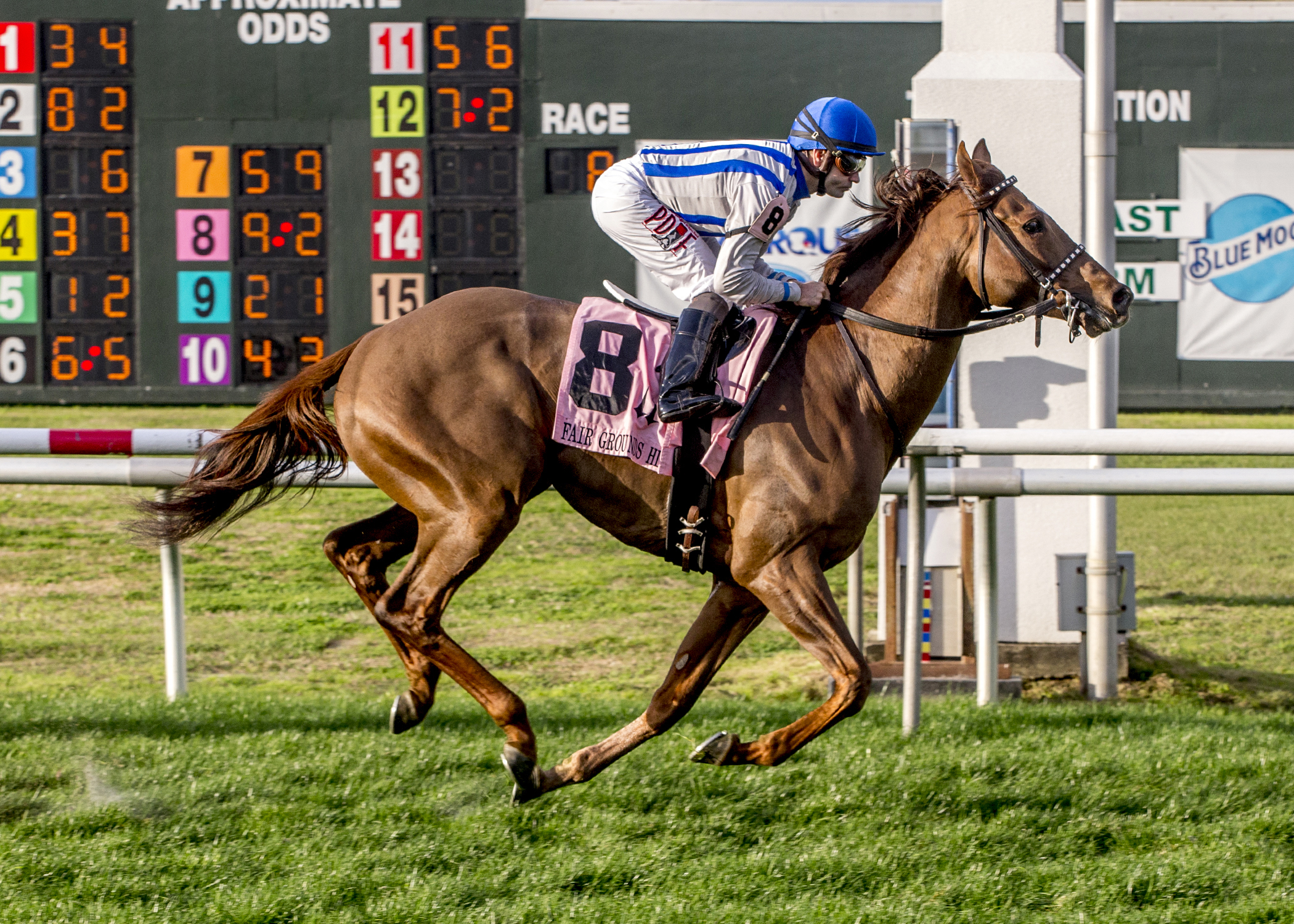 Synchrony wins the 2018 Fair Grounds Handicap