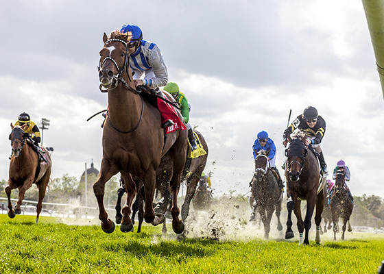 Synchrony wins the 2018 Muniz Memorial
