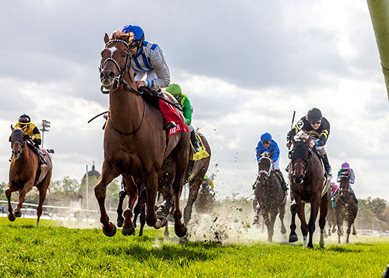 Synchrony wins the 2018 Mervin Muniz Memorial at Fair Grounds