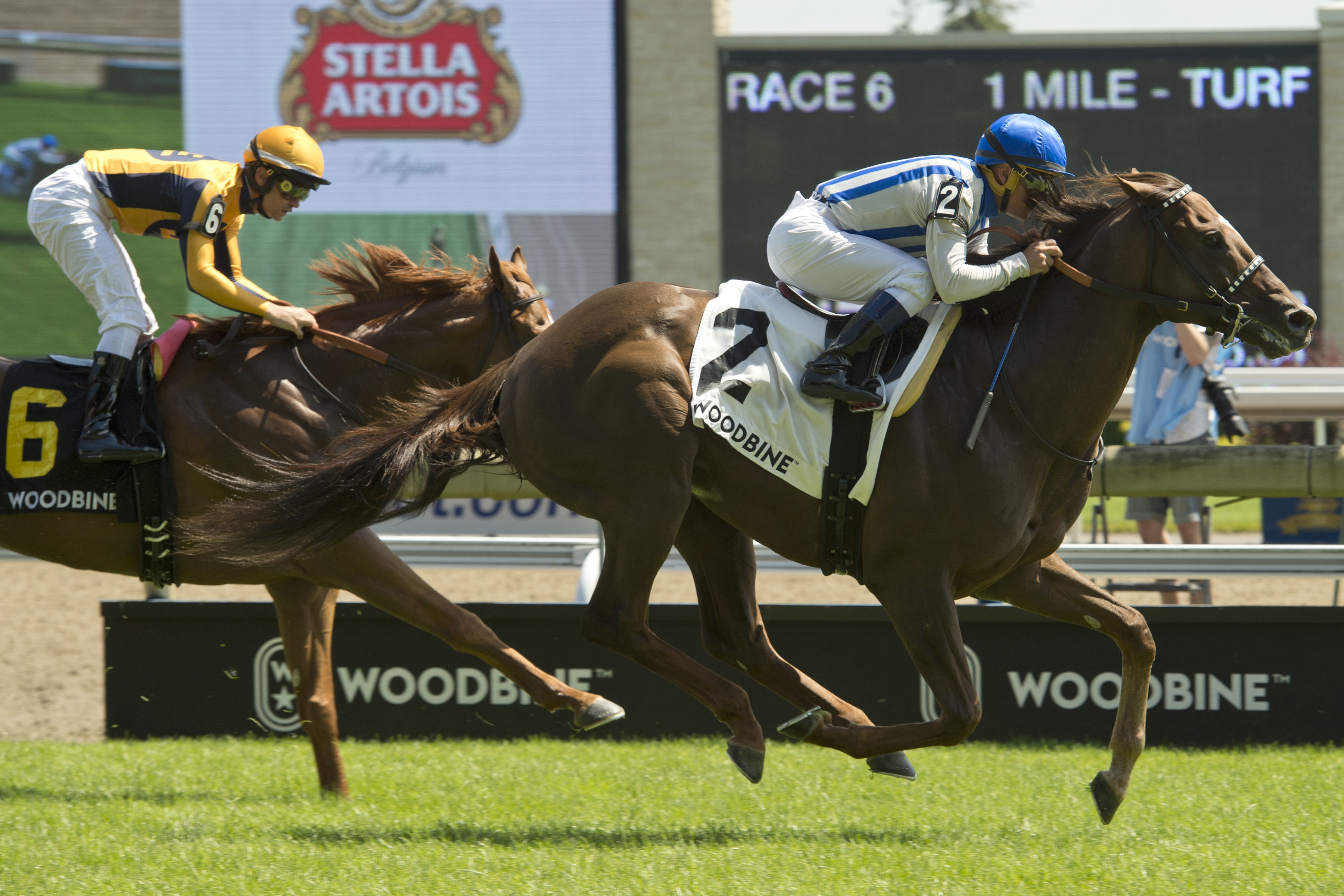 Synchrony wins the 2019 King Edward Stakes