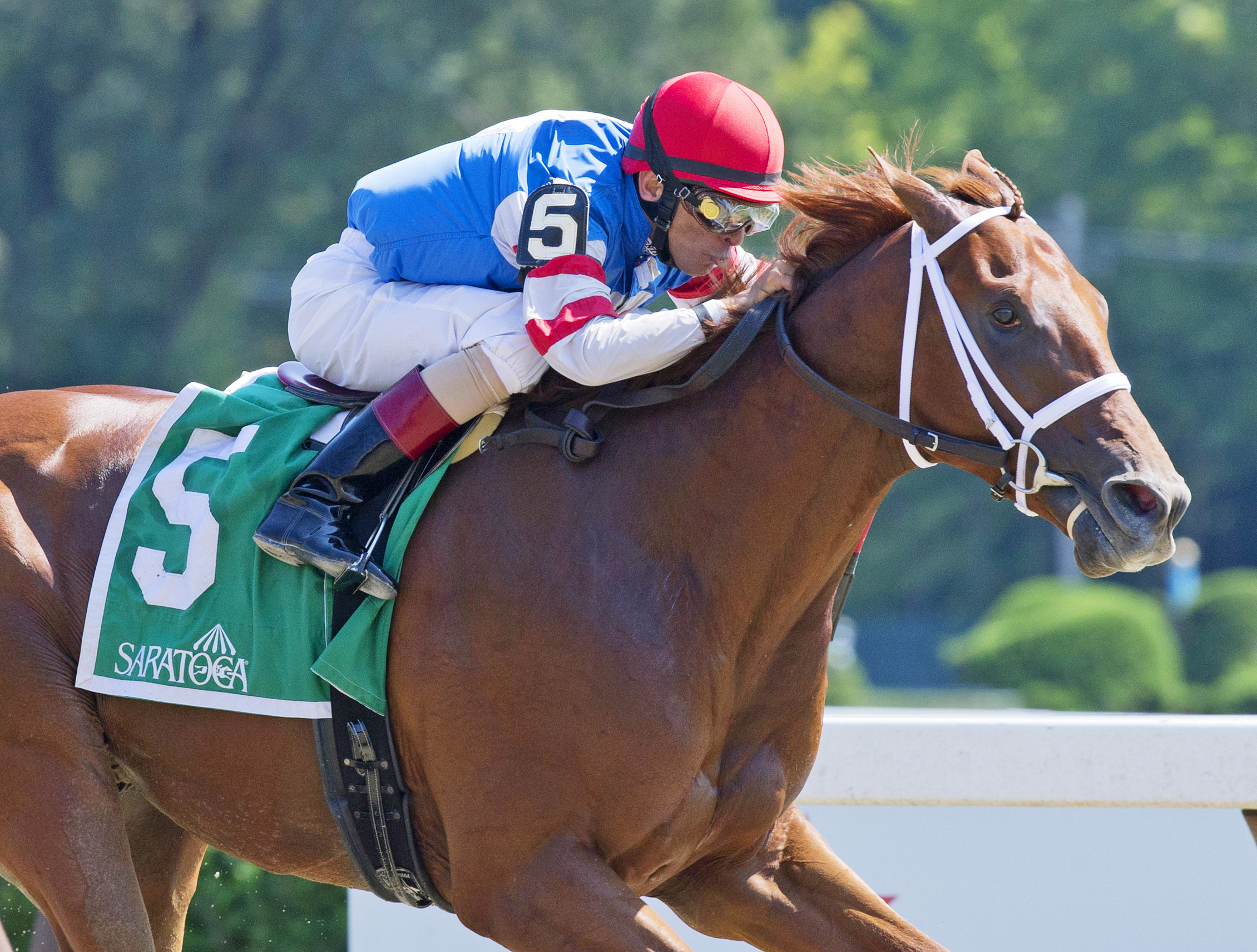 Syndergaard wins the Funny Cide Stakes