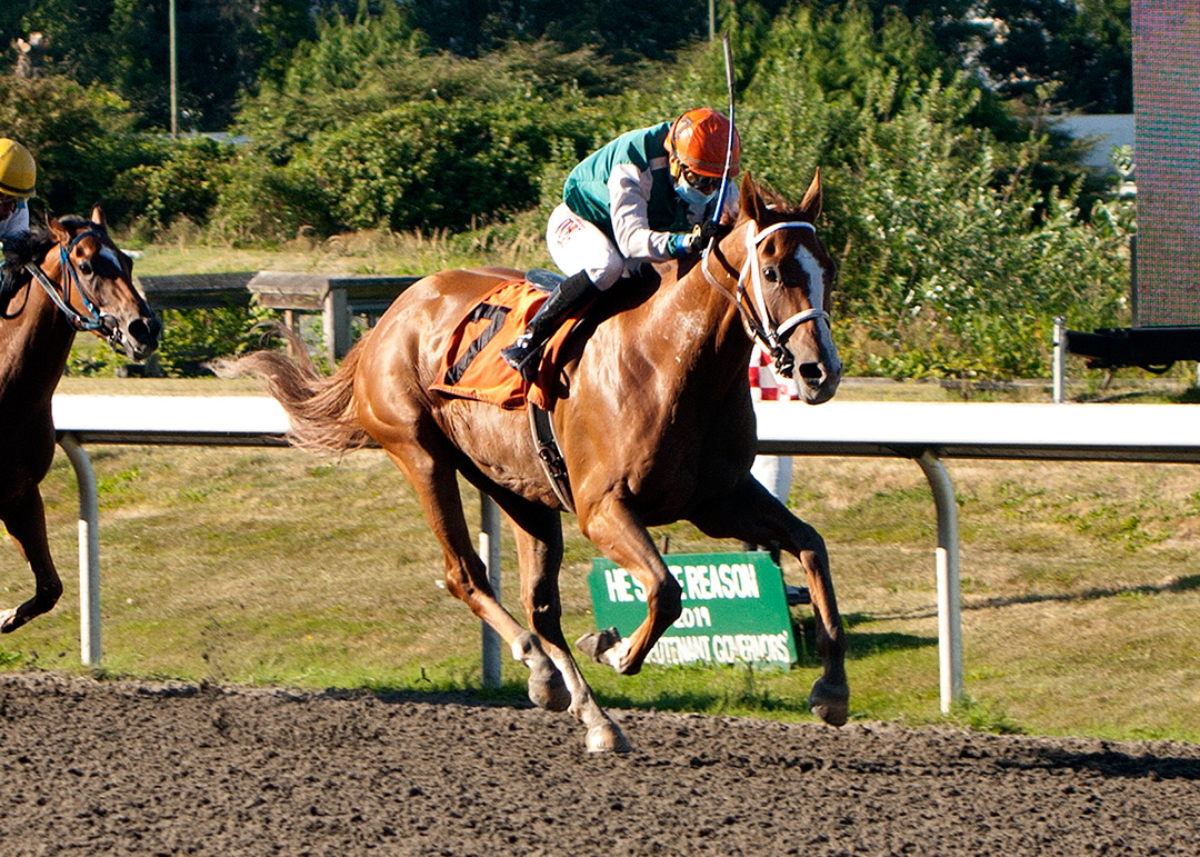 Synergy wins the 2020 British Columbia Sir Winston Churchill Stakes at Hastings