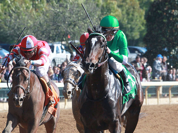 Synthesis wins an Oct. 20 maiden race at Keeneland