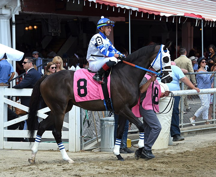 T Loves a Fight at Saratoga Race Course on Aug. 24