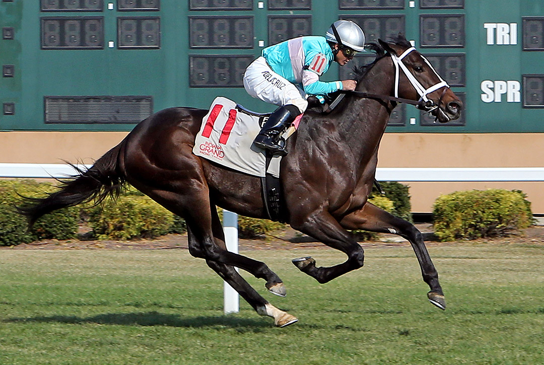T D Dance wins an Oct. 6 maiden at Indiana Grand