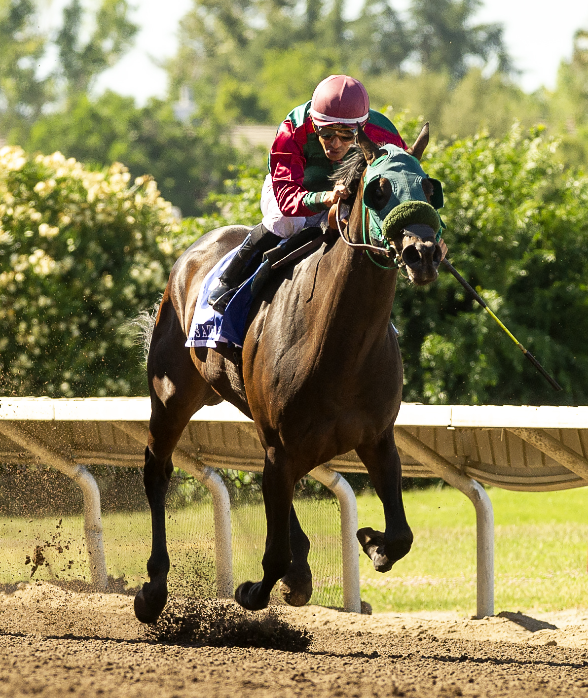 Tam's Little Angel wins She's a Tiger 6-25-2022