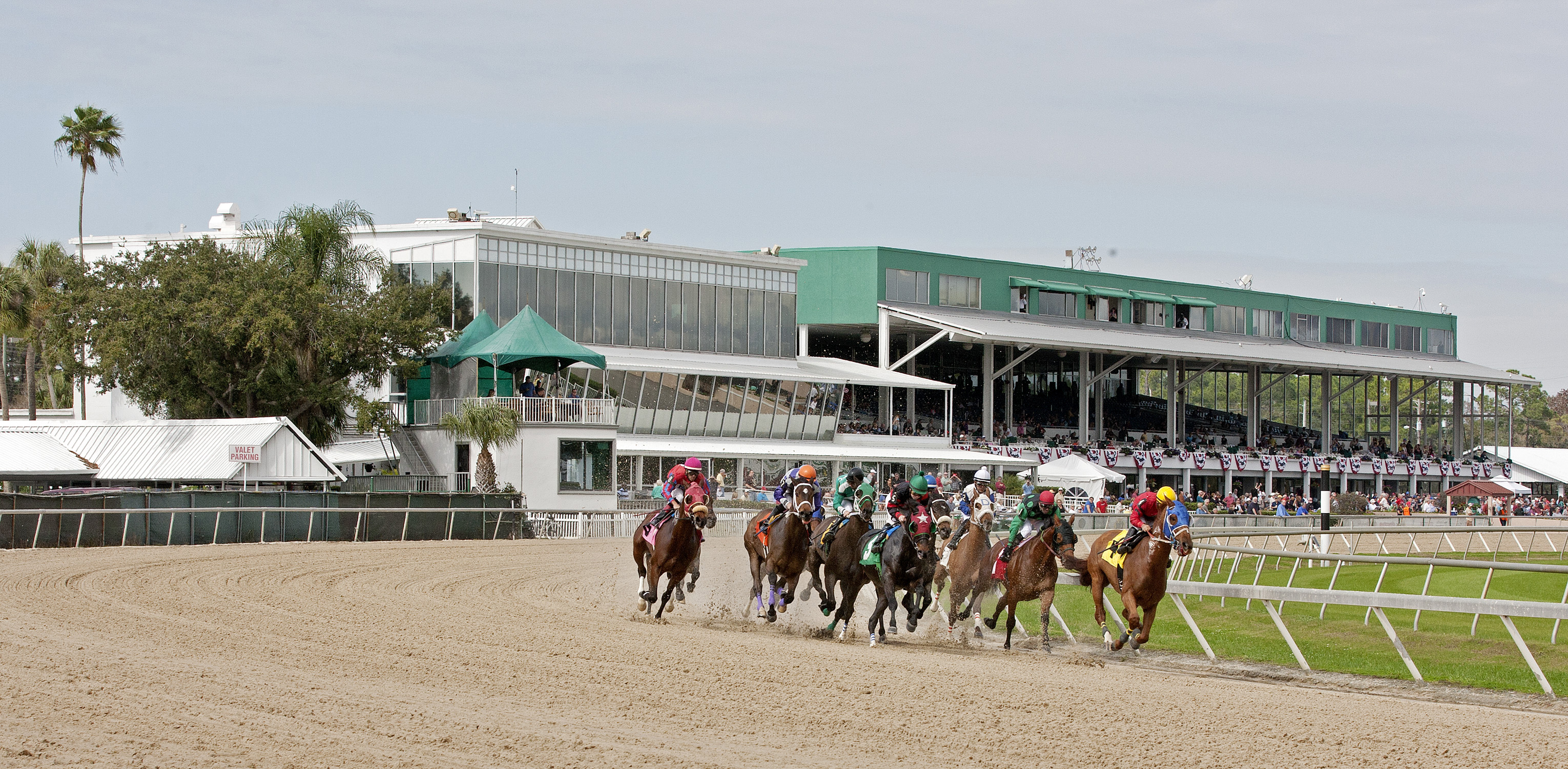 Racing at Tampa Bay Downs